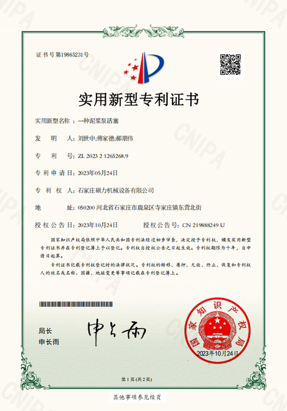 zs2222 (3)